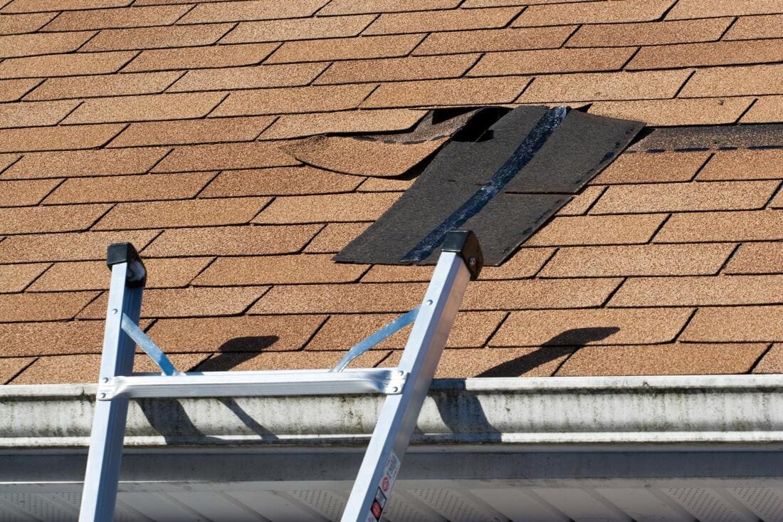 Wind-damaged shingles beside a ladder